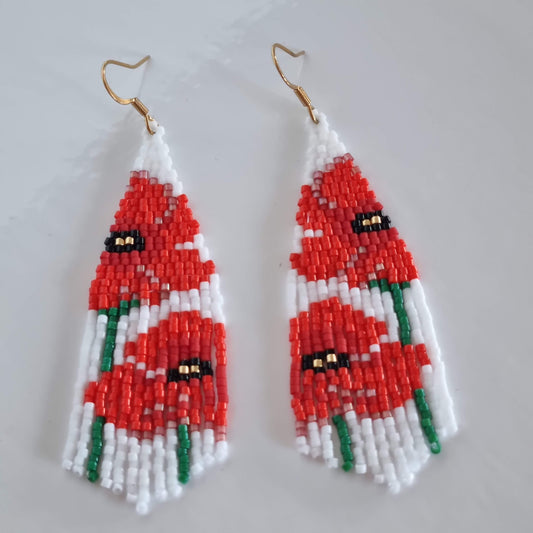 Coquelicots